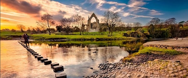 Catgill Campsite