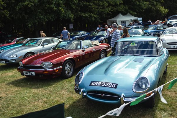 Classic Cars at the Tatton Park Passion for Power Show