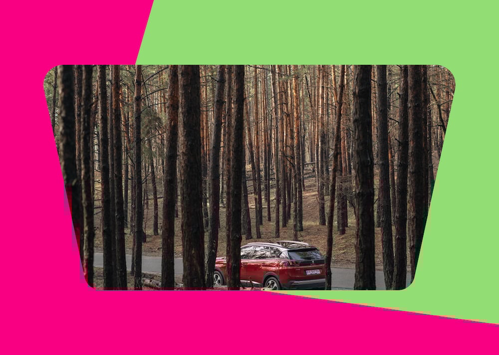Red Car driving through forest