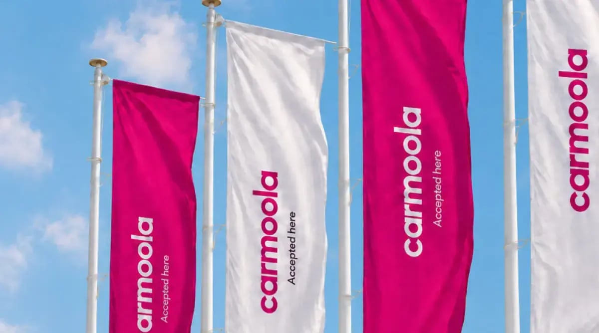 carmoola car dealership flags