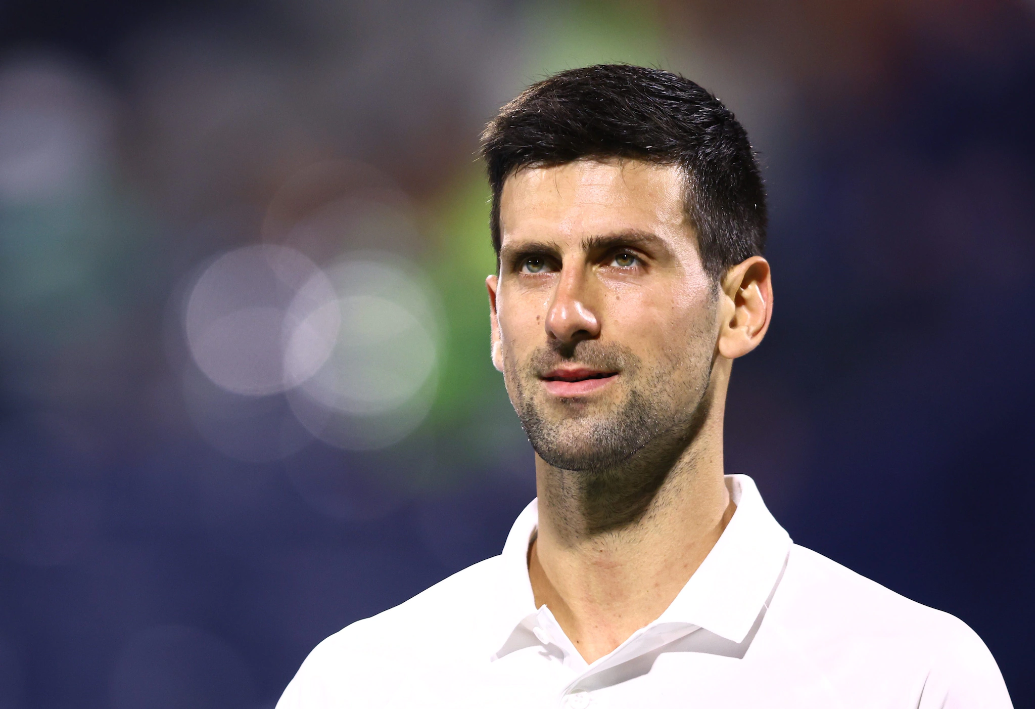 Collection novak djokovic top