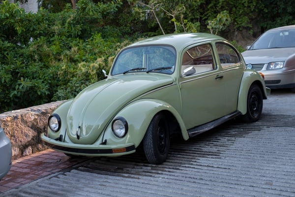 The original Beetle