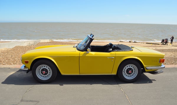 Yellow Triumph