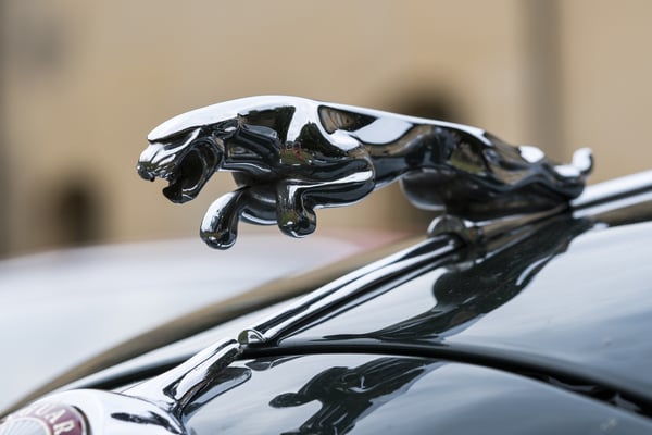 Jaguar