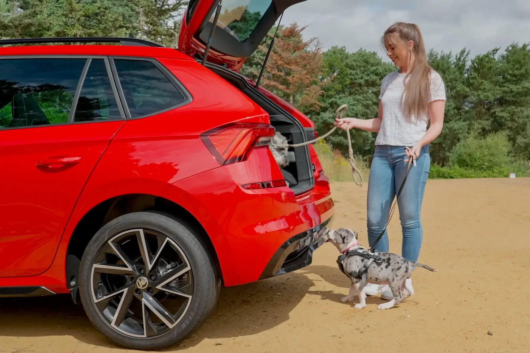 woman-her-dogs-red-car