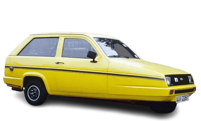 yellow-reliant-robin