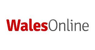 WalesOnline Logo